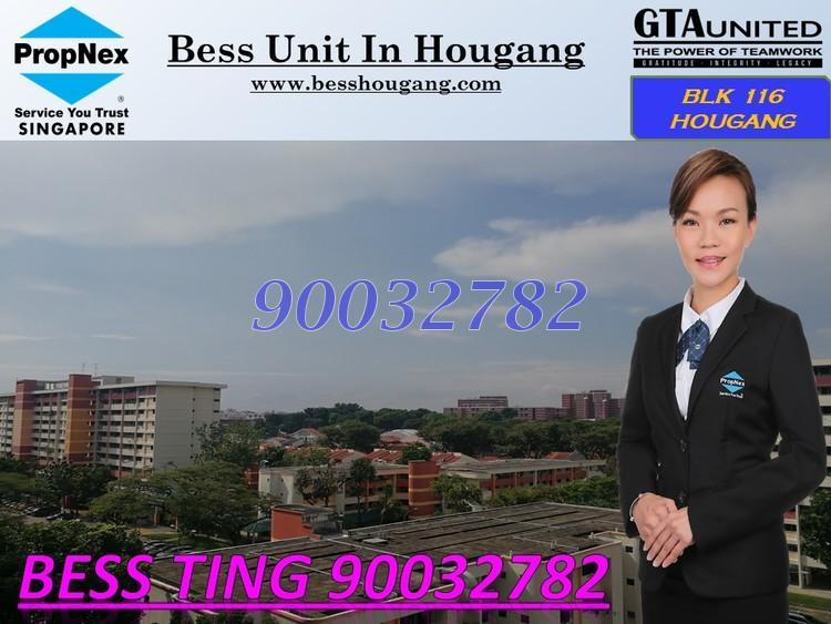 Blk 116 Hougang Avenue 1 (Hougang), HDB 3 Rooms #158342412